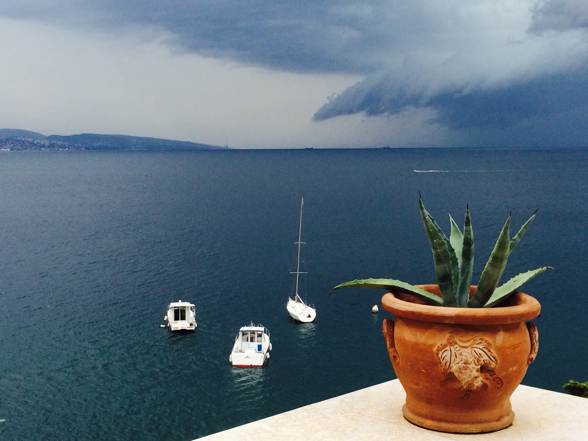 foto Vesna Deželić